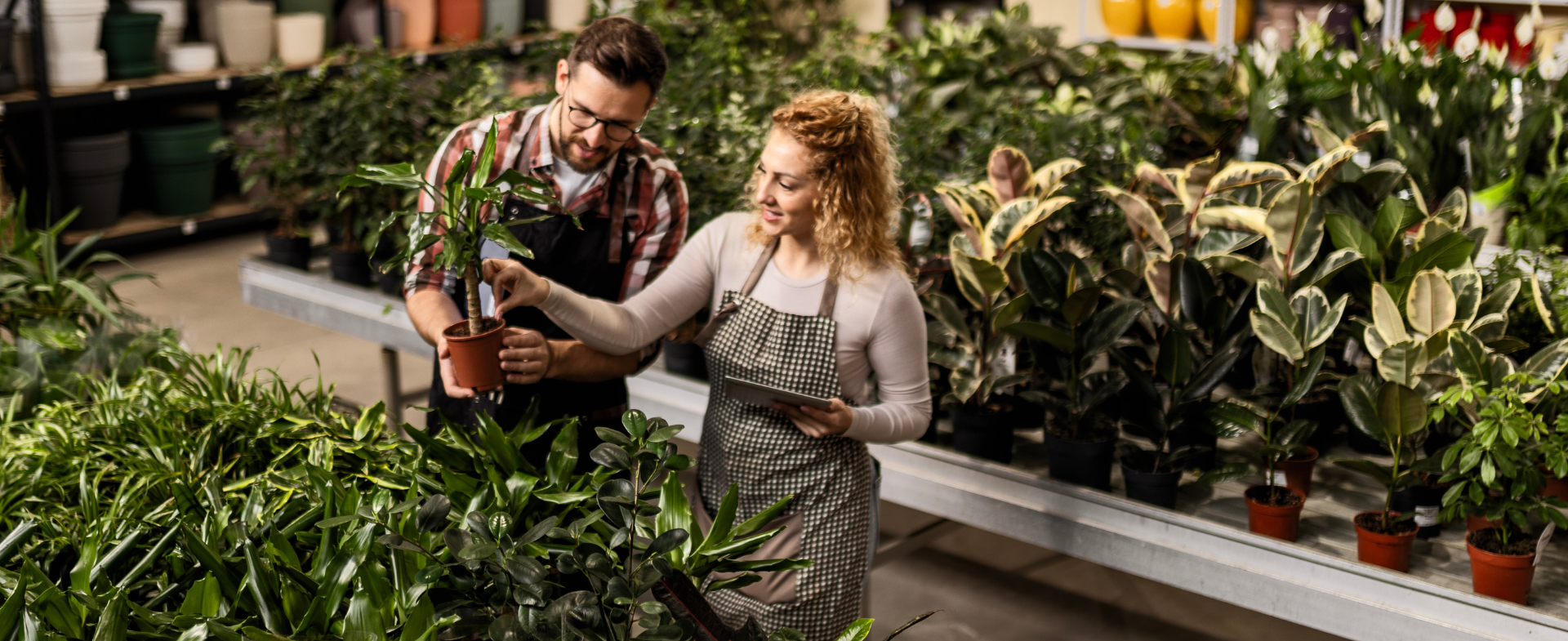 GHG reporting webinar header image