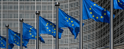 Omnibus proposal image.png