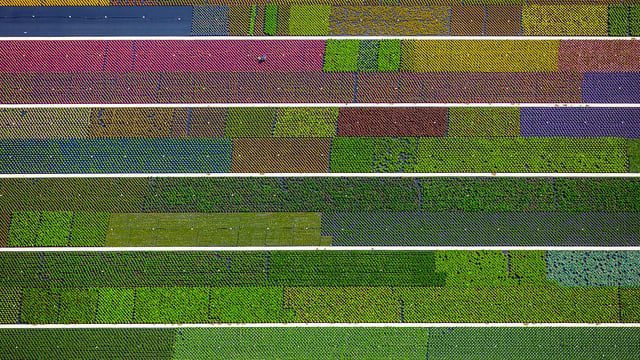 Abonnieren Sie unseren News-Service